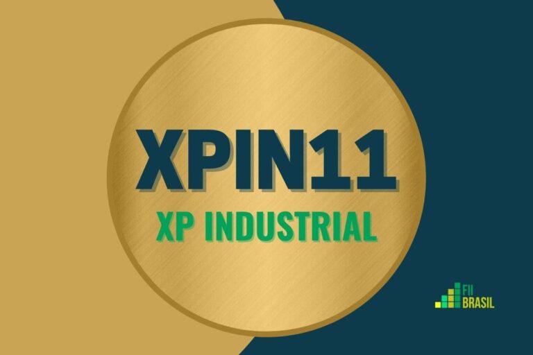 Benefícios do xpin11