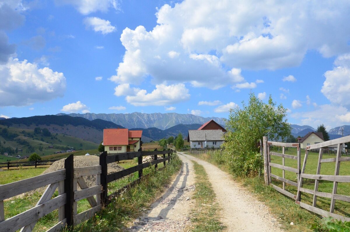 Como Obter Lucro com Investimento em Fazendas